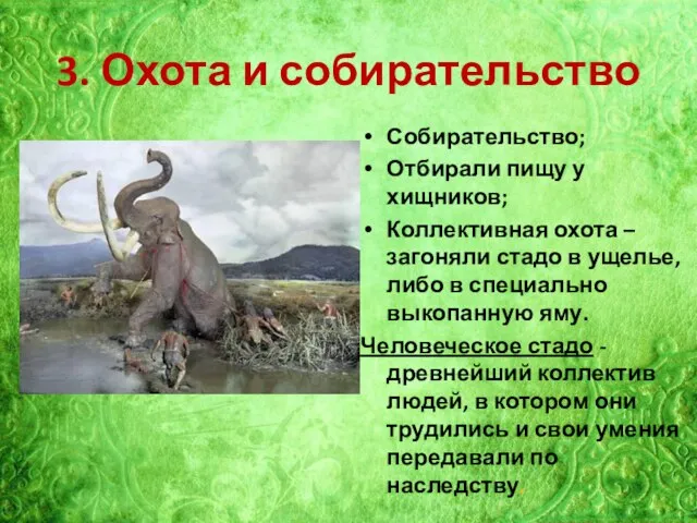 3. Охота и собирательство Собирательство; Отбирали пищу у хищников; Коллективная охота –