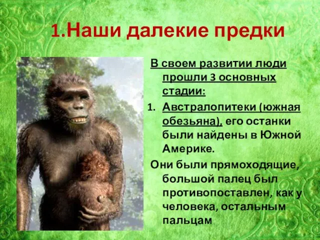 1.Наши далекие предки В своем развитии люди прошли 3 основных стадии: Австралопитеки