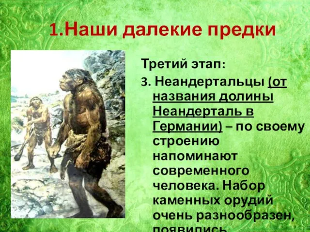 1.Наши далекие предки Третий этап: 3. Неандертальцы (от названия долины Неандерталь в