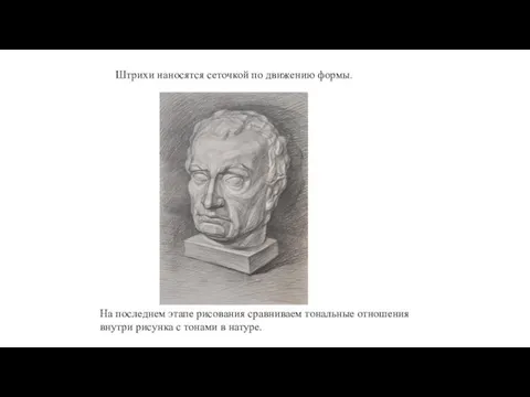 Штрихи наносятся сеточкой по движению формы. На последнем этапе рисования сравниваем тональные