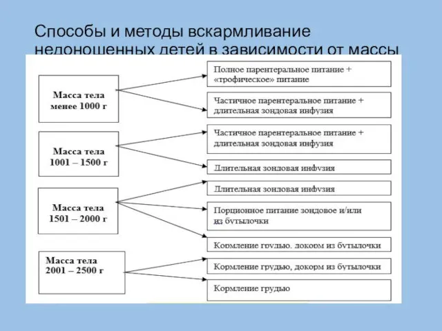 Способы и методы вскармливание недоношенных детей в зависимости от массы тела