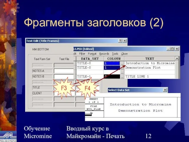 Обучение Micromine Вводный курс в Майкромайн - Печать Фрагменты заголовков (2)