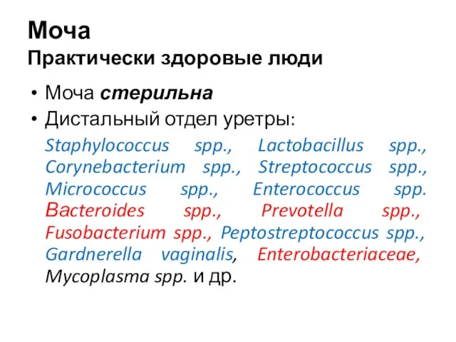 Моча Практически здоровые люди Моча стерильна Дистальный отдел уретры: Staphylococcus spp., Lactobacillus