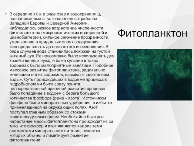 Фитопланктон В середине XX в. в ряде озер и водохранилищ, расположенных в