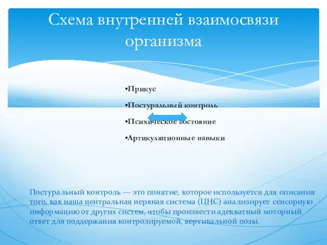 Прикус Постуральный контроль Психическое состояние Артикуляционные навыки Схема внутренней взаимосвязи организма Постуральный