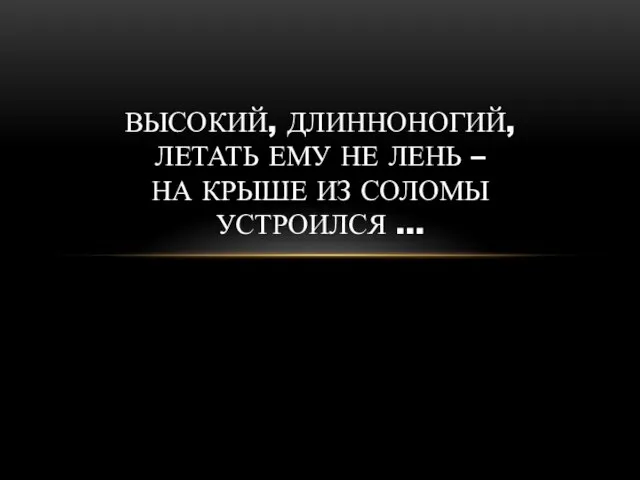 ВЫСОКИЙ, ДЛИННОНОГИЙ, ЛЕТАТЬ ЕМУ НЕ ЛЕНЬ – НА КРЫШЕ ИЗ СОЛОМЫ УСТРОИЛСЯ …