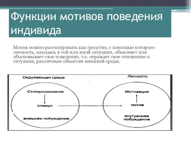 Функции мотивов поведения индивида Мотив можно рассматривать как средство, с помощью которого