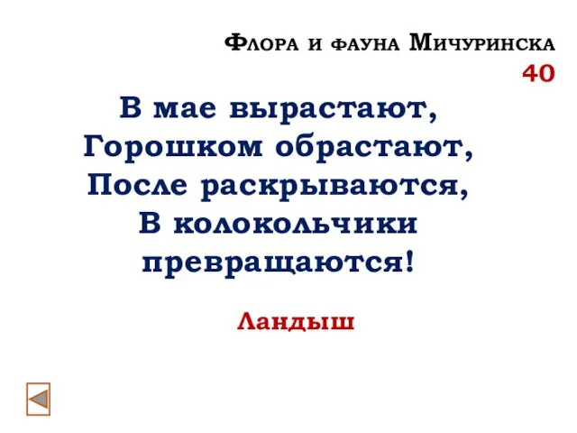 В мае вырастают, Горошком обрастают, После раскрываются, В колокольчики превращаются! Ландыш Флора и фауна Мичуринска 40