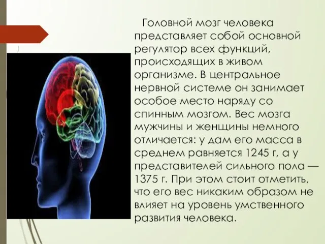 Головной мозг человека представляет собой основной регулятор всех функций, происходящих в живом