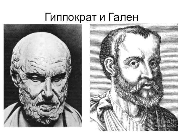 Гиппократ и Гален