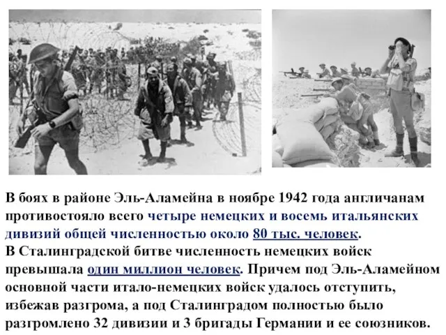 В боях в районе Эль-Аламейна в ноябре 1942 года англичанам противостояло всего