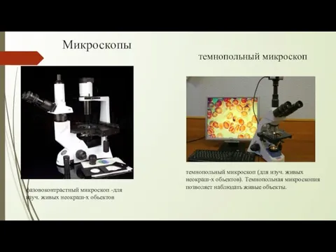 Микроскопы фазовоконтрастный микроскоп -для изуч. живых неокраш-х обьектов темнопольный микроскоп (для изуч.