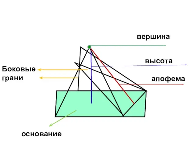 вершина высота Боковые грани основание апофема