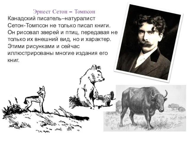 Эрнест Сетон – Томпсон Канадский писатель–натуралист Сетон-Томпсон не только писал книги. Он