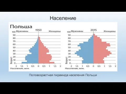 Население Половозрастная пирамида населения Польши