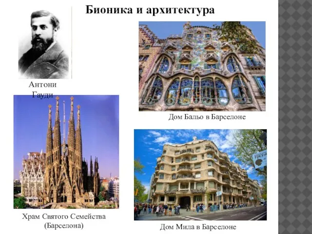 Бионика и архитектура Дом Мила в Барселоне Храм Святого Семейства (Барселона) Дом