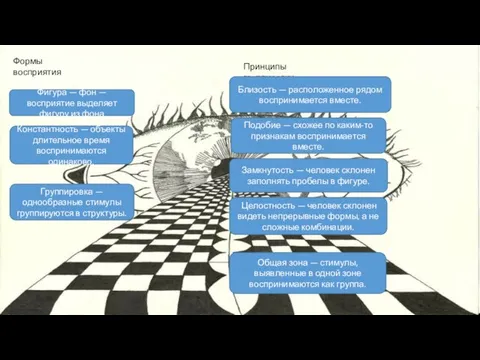 Формы восприятия Фигура — фон — восприятие выделяет фигуру из фона Константность
