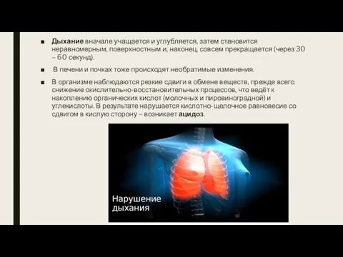 Дыхание вначале учащается и углубляется, затем становится неравномерным, поверхностным и, наконец, совсем