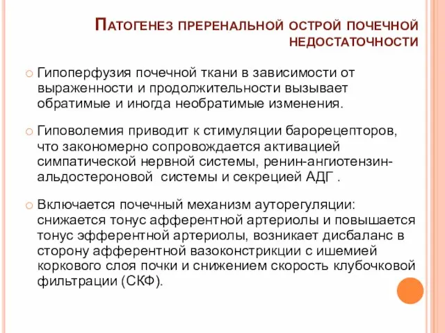 Патогенез преренальной острой почечной недостаточности Гипоперфузия почечной ткани в зависимости от выраженности