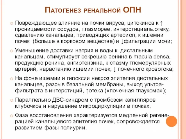 Патогенез ренальной ОПН Повреждающее влияние на почки вируса, цитокинов к ↑ проницаемости