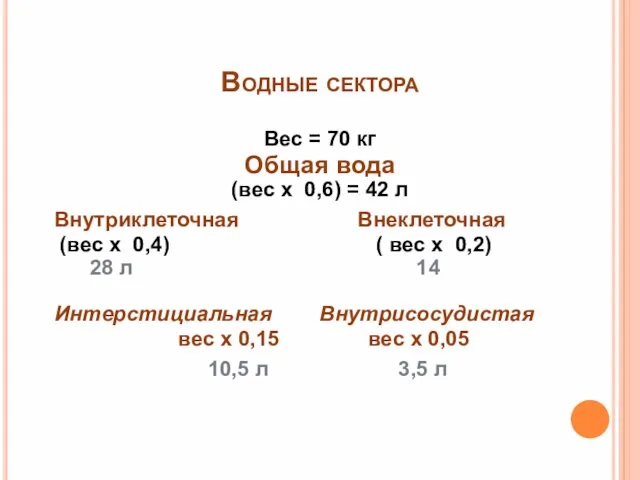 Водные сектора Вес = 70 кг Общая вода (вес х 0,6) =