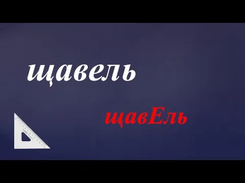 щавель щавЕль