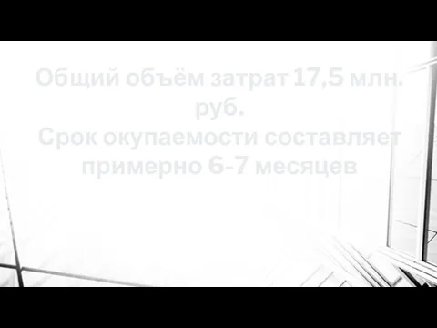 Общий объём затрат 17,5 млн. руб. Срок окупаемости составляет примерно 6-7 месяцев