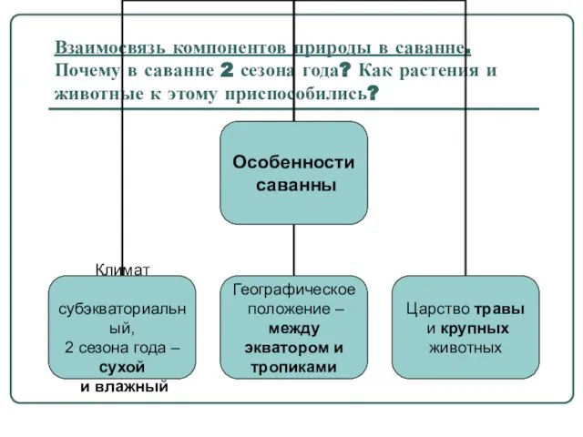 Взаимосвязь компонентов природы в саванне. Почему в саванне 2 сезона года? Как