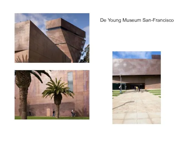 De Young Museum San-Francisco