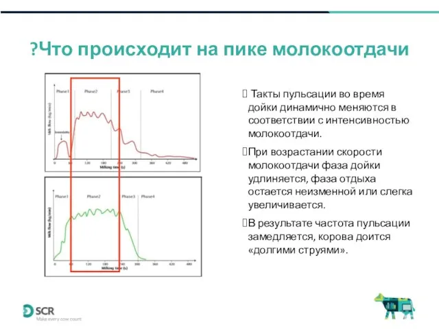 Что происходит на пике молокоотдачи? Такты пульсации во время дойки динамично меняются