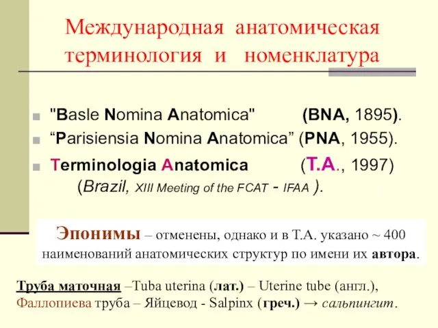 Международная анатомическая терминология и номенклатура "Basle Nomina Anatomica" (BNA, 1895). “Parisiensia Nomina