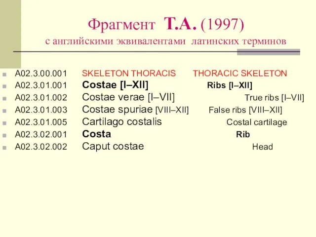 Фрагмент Т.А. (1997) с английскими эквивалентами латинских терминов A02.3.00.001 SKELETON THORACIS THORACIC
