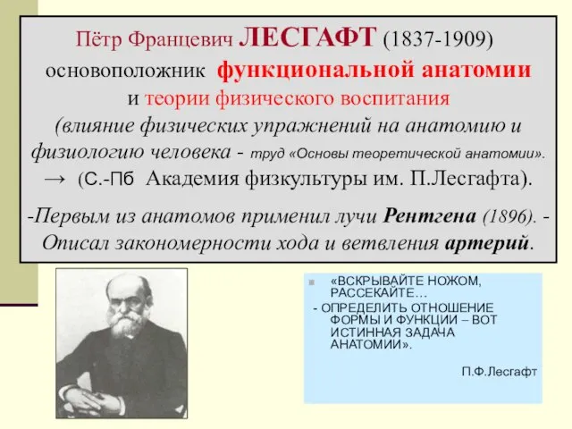 «ВСКРЫВАЙТЕ НОЖОМ, РАССЕКАЙТЕ… - ОПРЕДЕЛИТЬ ОТНОШЕНИЕ ФОРМЫ И ФУНКЦИИ – ВОТ ИСТИННАЯ