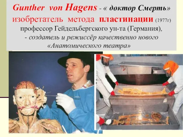 Gunther von Hagens - « доктор Смерть» изобретатель метода пластинации (1977г) профессор