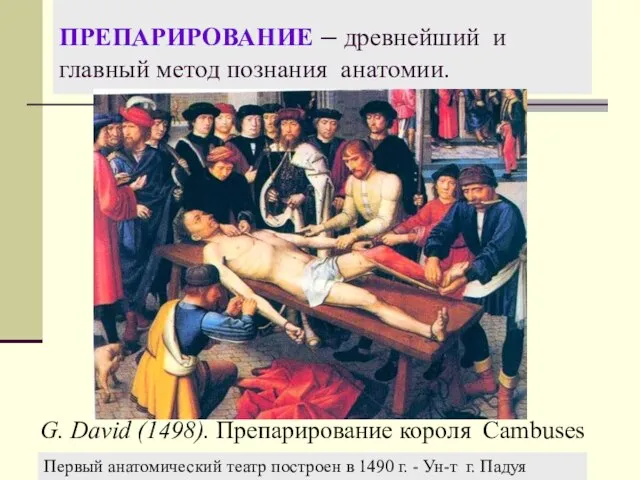 ПРЕПАРИРОВАНИЕ – древнейший и главный метод познания анатомии. G. David (1498). Препарирование