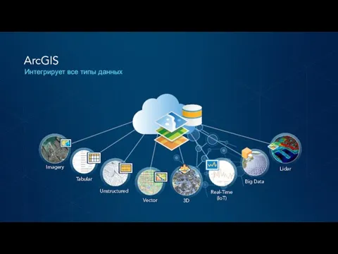 ArcGIS Интегрирует все типы данных