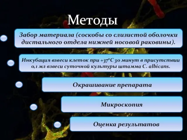 Методы Забор материала (соскобы со слизистой оболочки дистального отдела нижней носовой раковины).