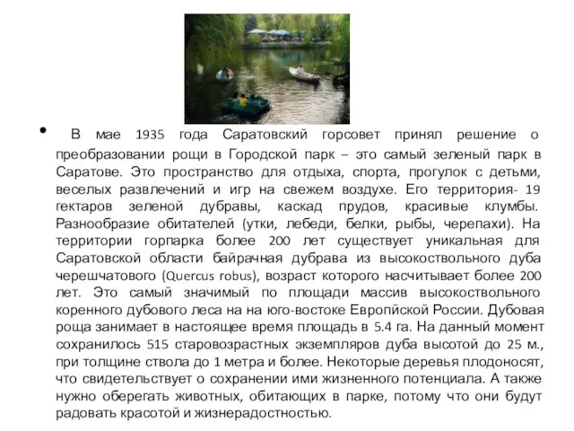 В мае 1935 года Саратовский горсовет принял решение о преобразовании рощи в