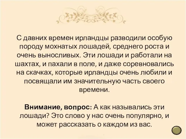 С давних времен ирландцы разводили особую породу мохнатых лошадей, среднего роста и