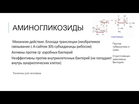 АМИНОГЛИКОЗИДЫ Токсичны для человека Против туберкулеза и чумы Стрептомицин зависимые бактерии