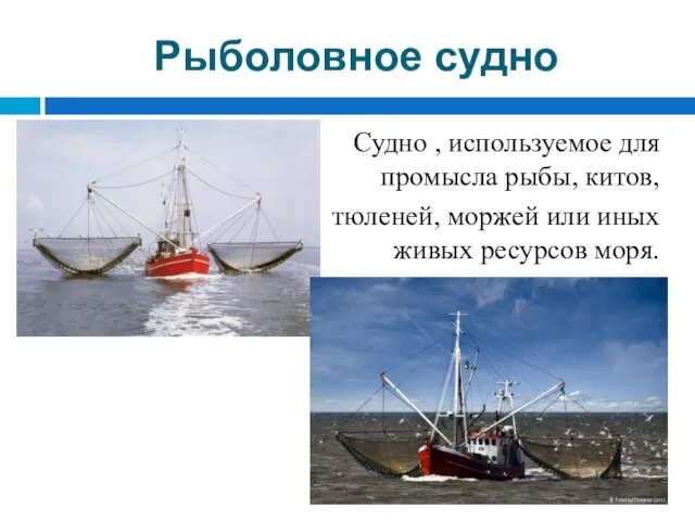 Рыболовное судно Судно , используемое для промысла рыбы, китов, тюленей, моржей или иных живых ресурсов моря.