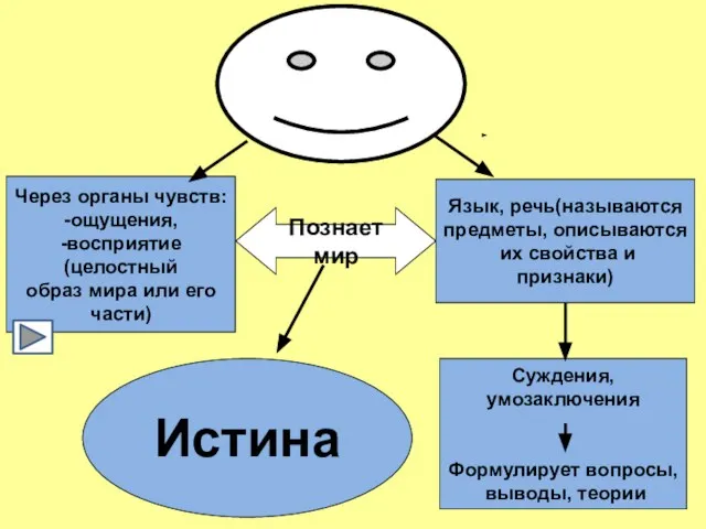 Через органы чувств: -ощущения, -восприятие (целостный образ мира или его части) Язык,