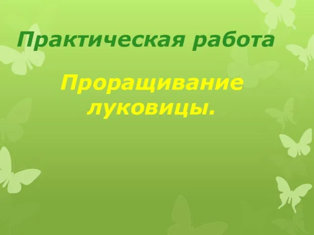 Практическая работа Проращивание луковицы.