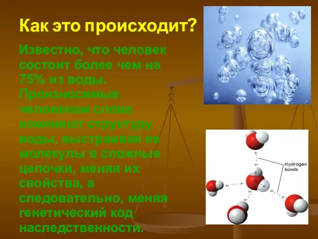 Как это происходит? Известно, что человек состоит более чем на 75% из