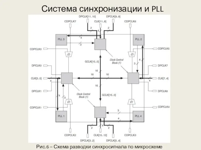 Система синхронизации и PLL Рис.6 – Схема разводки синхросигнала по микросхеме