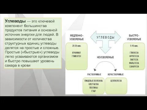 Углеводы — это ключевой компонент большинства продуктов питания и основной источник энергии