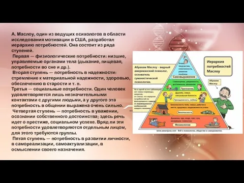 А. Маслоу, один из ведущих психологов в области исследования мотивации в США,