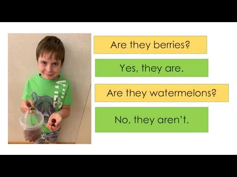 Are they berries? Yes, they are. Are they watermelons? No, they aren’t.