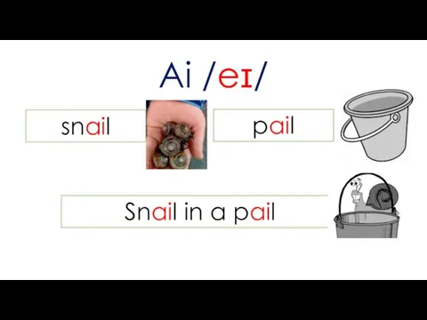 Ai /eɪ/ snail pail Snail in a pail