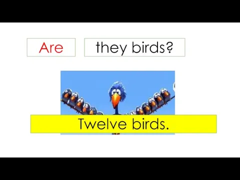 Are they birds? Twelve birds.